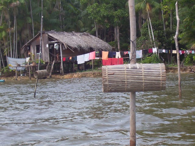 Amazonien zwischen Faszination, Zerstörung und solidarischem Handeln.