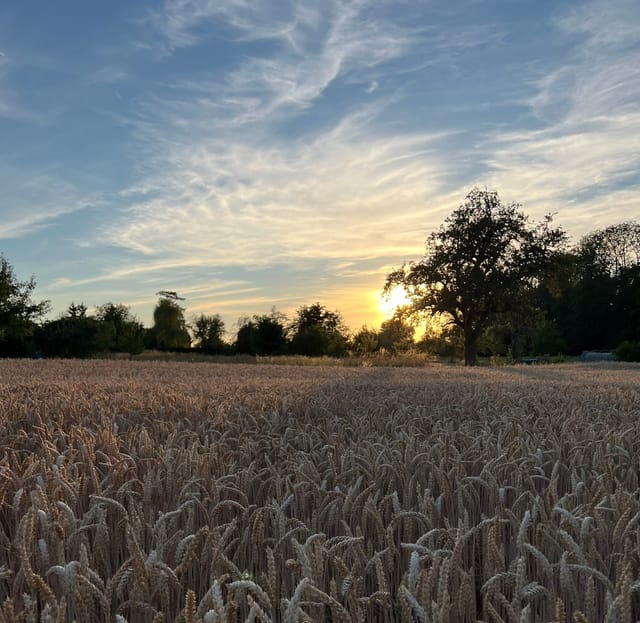 Walk & Talk im Juni: kühle Abendluft statt Hitze