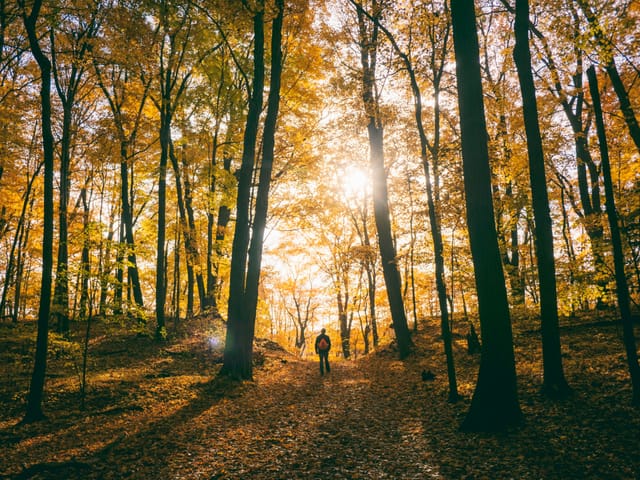 Walk & Talk im Oktober